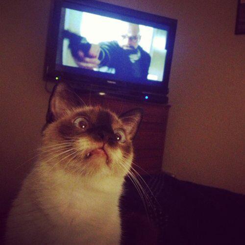 serieslyAWESOME_serienparade-04_17