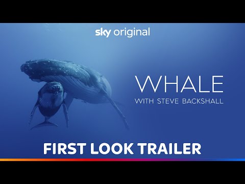 Whale | First Look Trailer | Sky