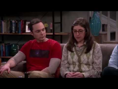 The Big Bang Theory but with Ricky Gervais as the whole studio audience.