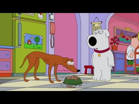 Family Guy / The Simpsons Crossover: Brian Meets Santa&#039;s Little Helper