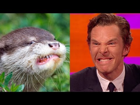 Benedict Cumberbatch’s resemblance to an otter – The Graham Norton Show: Series 18 Episode 9 – BBC