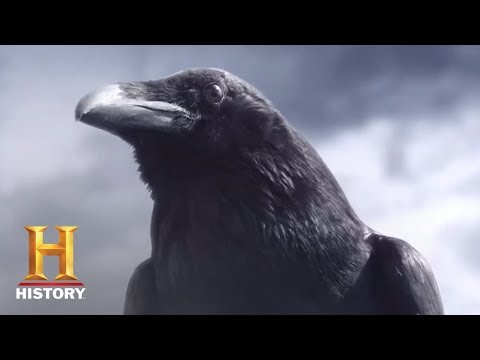 Vikings: Crow Teaser | Season 5 Premieres Nov. 29 | History