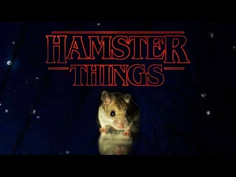 Hamster Things - &#039;Stranger Things&#039; with Hamsters