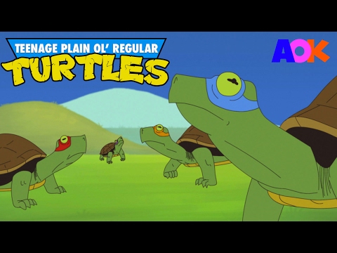 TEENAGE PLAIN OL&#039; REGULAR TURTLES