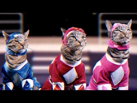 Mighty Morphin Meower Rangers - Meowphin Time! - Episode 1