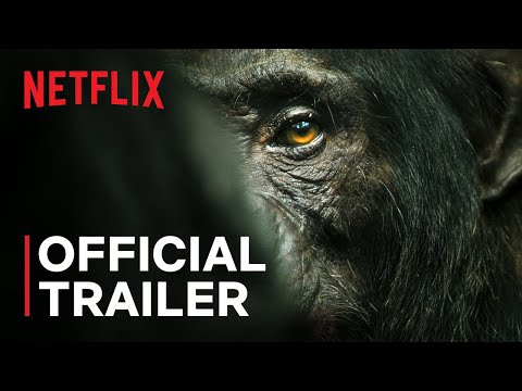 Chimp Empire | Mahershala Ali | Official Trailer | Netflix
