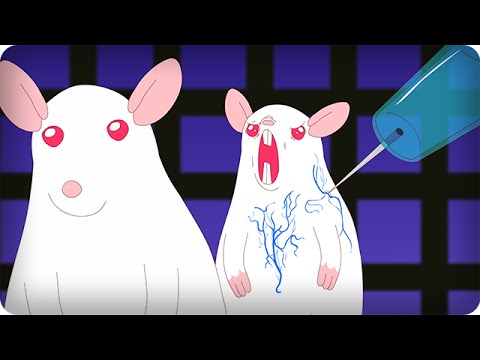 SCIENTIFICALLY ACCURATE™ PINKY AND THE BRAIN