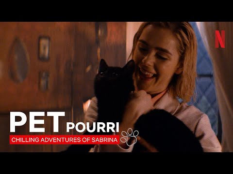 Einfach nur awwwh: Best of Salem aus Chilling Adventures of Sabrina | Netflix