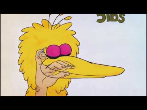 The Mechanics of being Big Bird