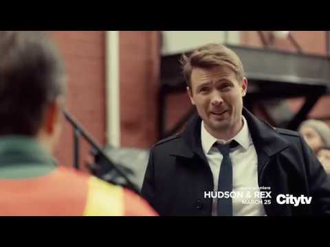 Hudson &amp; Rex | New Drama Series on Citytv