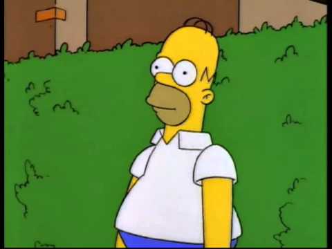 Homer disappears into bushes