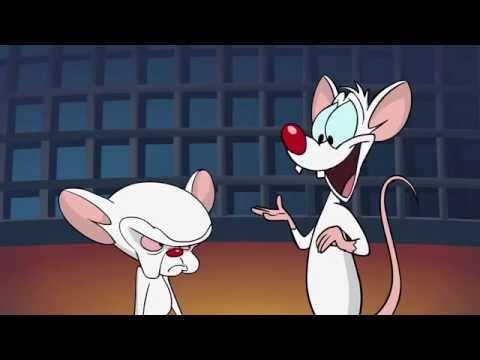 Pinky and the Brain breakup