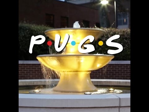TV Show Compilation - Doug The Pug
