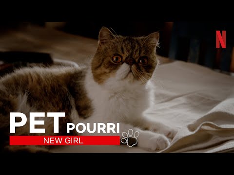 Amerikas Liebling: Best-of Kater Ferguson aus New Girl | Netflix