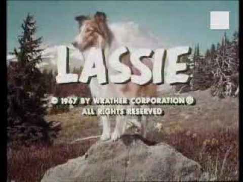 Lassie