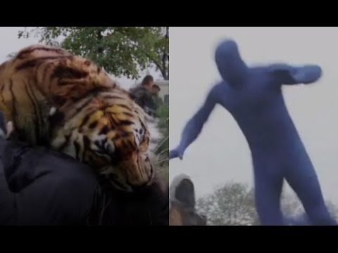 Shiva the Tiger is Actually a Man in a Blue Suit - The Walking Dead Season 7 Finale (7x16)