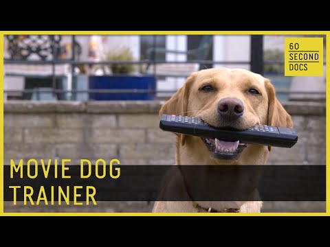 Movie Stunt Dog Trainer Gill Raddings