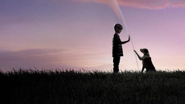 Review: Under The Dome S01E02