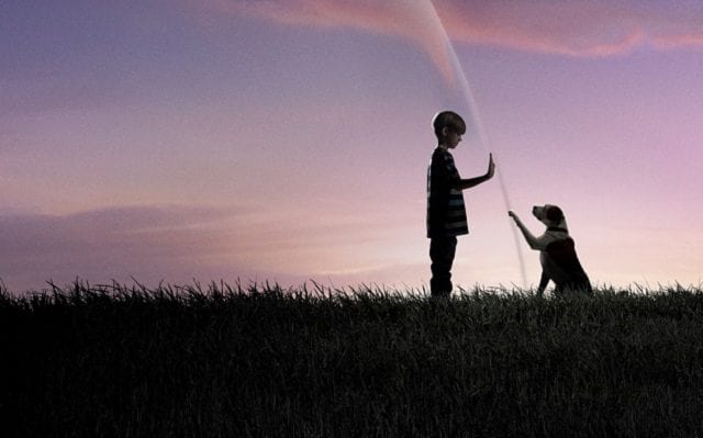 Review: Under The Dome S01E02