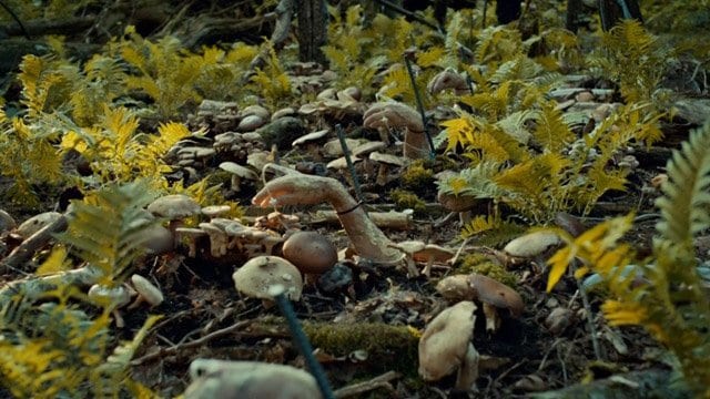 Hannibal S01E02 Review