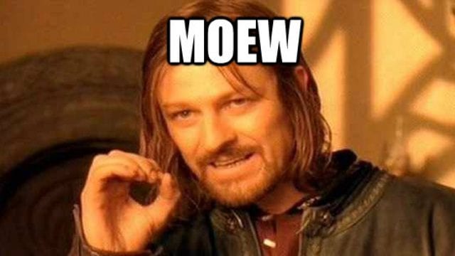 Katze singt Game of Thrones Theme