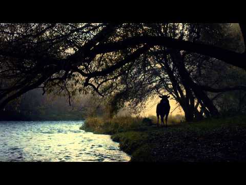 Der Trailer zur zweiten Staffel von "Hannibal"