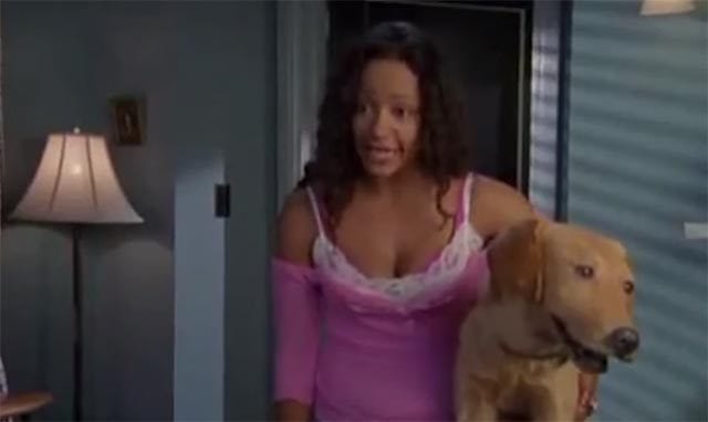 TV-Dogs-640x382