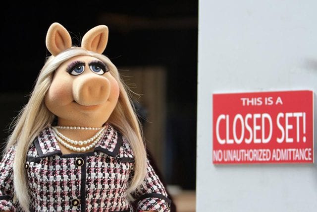 Piggy
