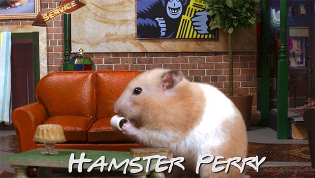 Friends-Hamsters