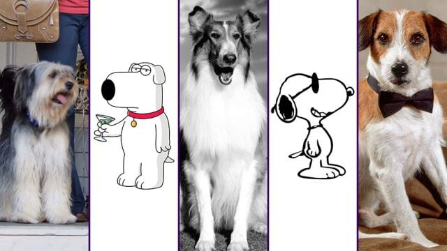 Welcher Serien-Hund ist eure #1?