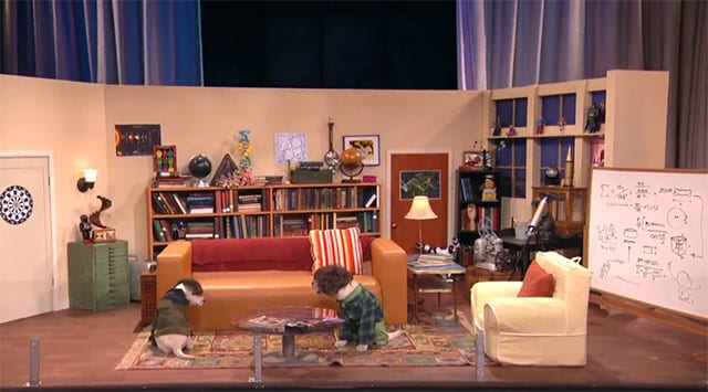 puppy-TBBT