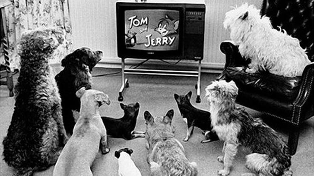 Serienbilderparade #34