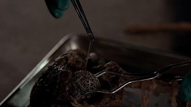 the-strain_s03e05_02