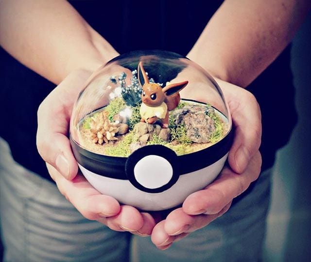 pokeball-terrarium_03