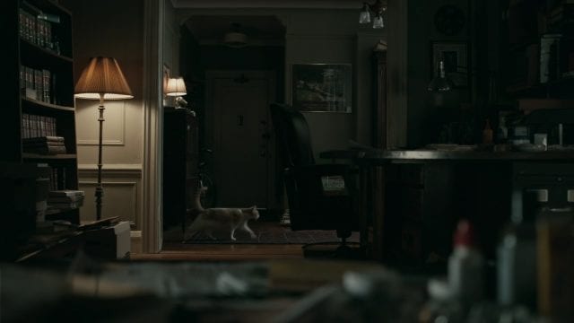 TheNightof_S1E8_Cat-640x360