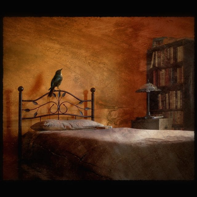 cooper__s_dream_by_coffea-640x640