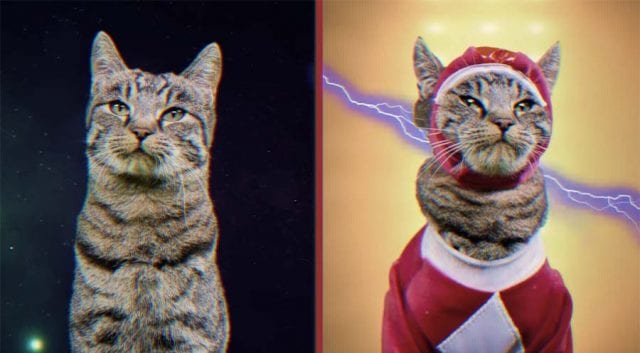 Mighty-Morphin-Meower-Rangers