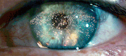 BladeRunner_Eye