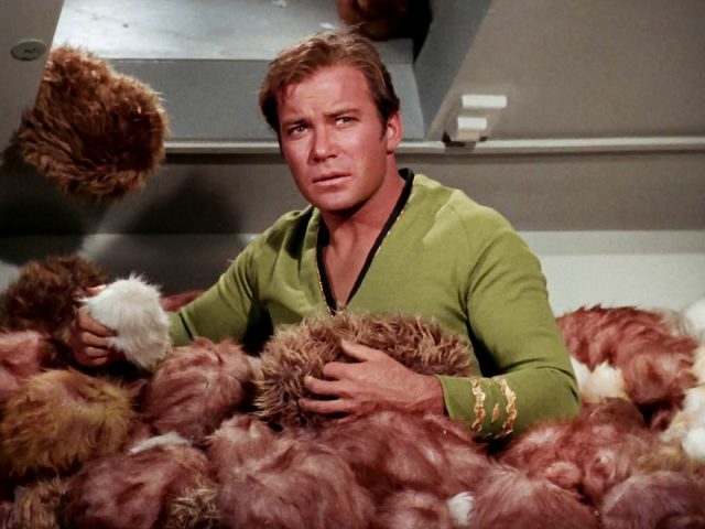 Star-Trek-tribbles-640x480