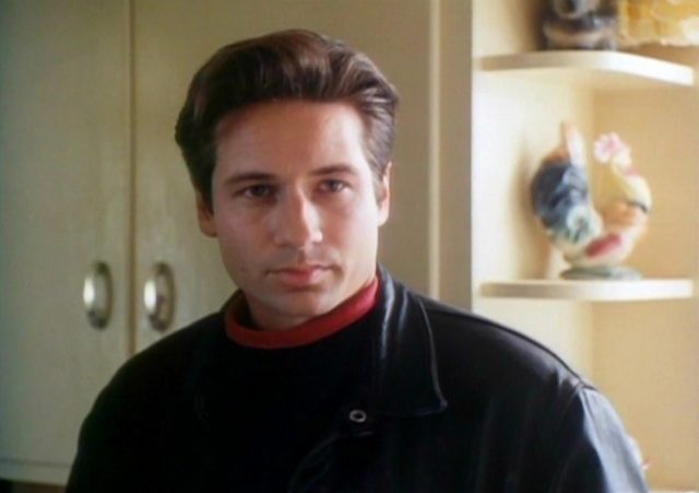 Foxy-Fantasies-David-Duchovny-640x451