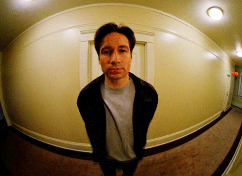 mulder