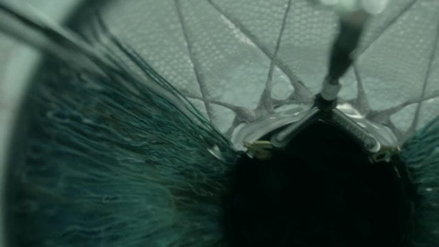 Westworld_S2_Hints-640x360