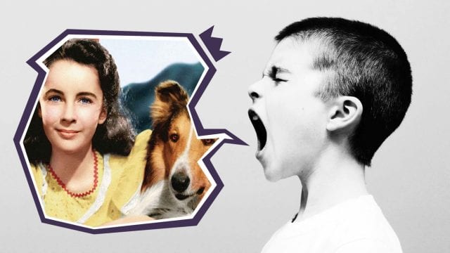Kommentar-Artikelbild-Vorlage_Tiere_lassie