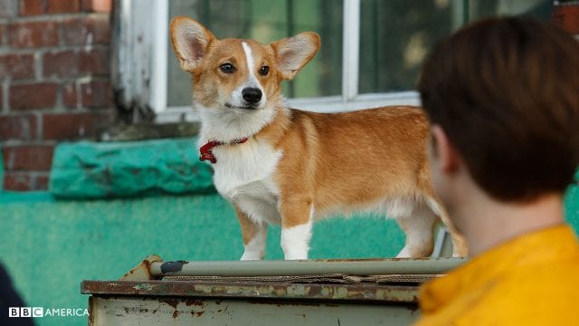 dirk-gently-corgi-640x360