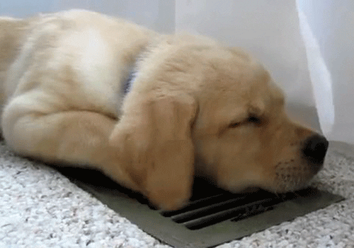 pup_air_conditioning