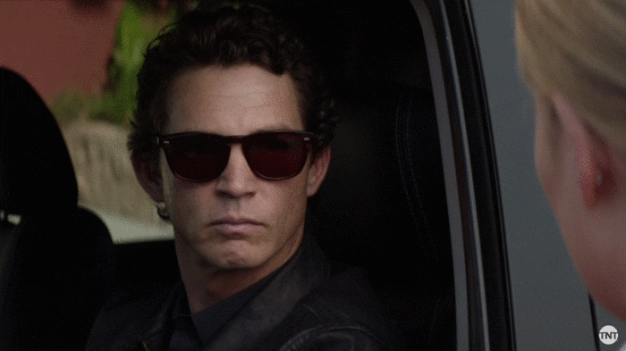 AnimalKingdom_gif
