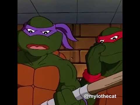 Teenage Mutant Beastie Boys