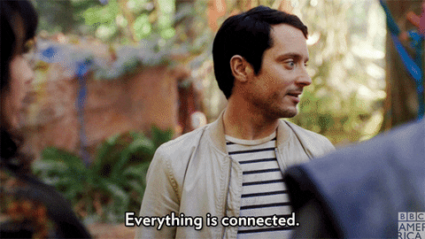 DGHD_Todd_Everything