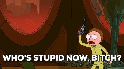 morty_stupid_now_bitch
