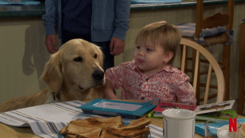 Dogs_S1_Netflix